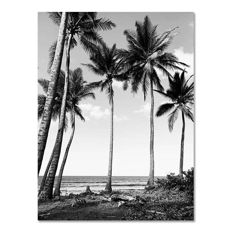 Nordic Modern Black And White
