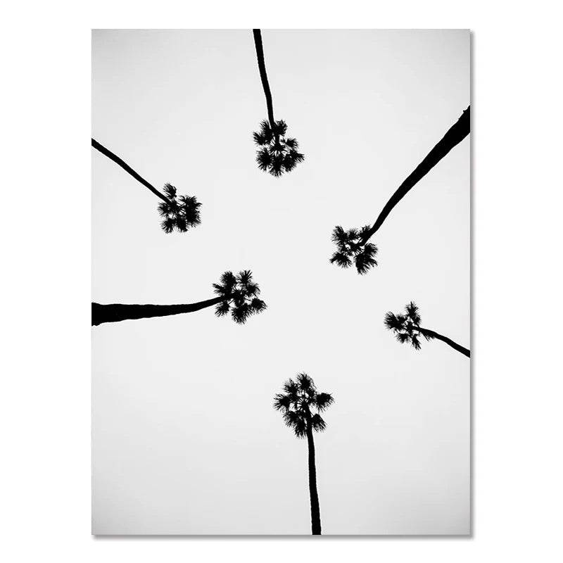 Nordic Modern Black And White